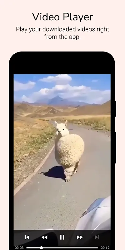Video Downloader for Reddit Video Downloader for Reddit