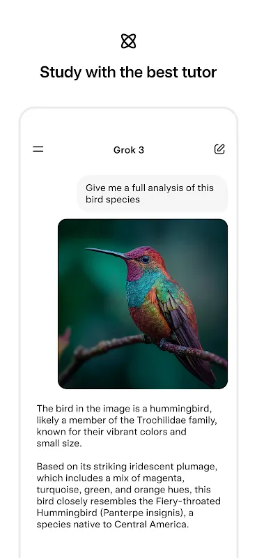 Grok - AI Assistant Grok - AI Assistant