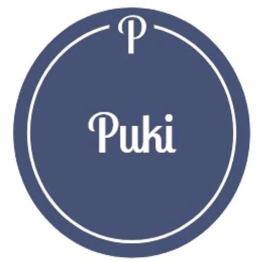 Puki – Talk, See, Connect