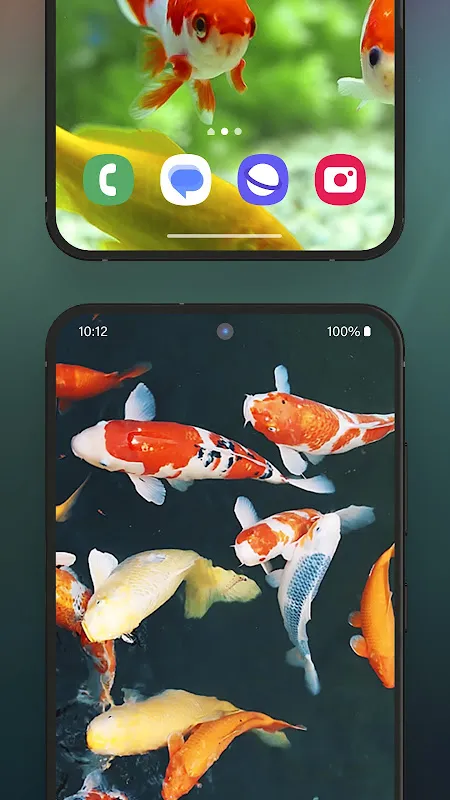 3D Aquarium Live Wallpaper 3D Aquarium Live Wallpaper