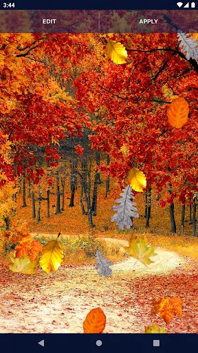 Autumn Leaves Live Wallpaper Autumn Leaves Live Wallpaper