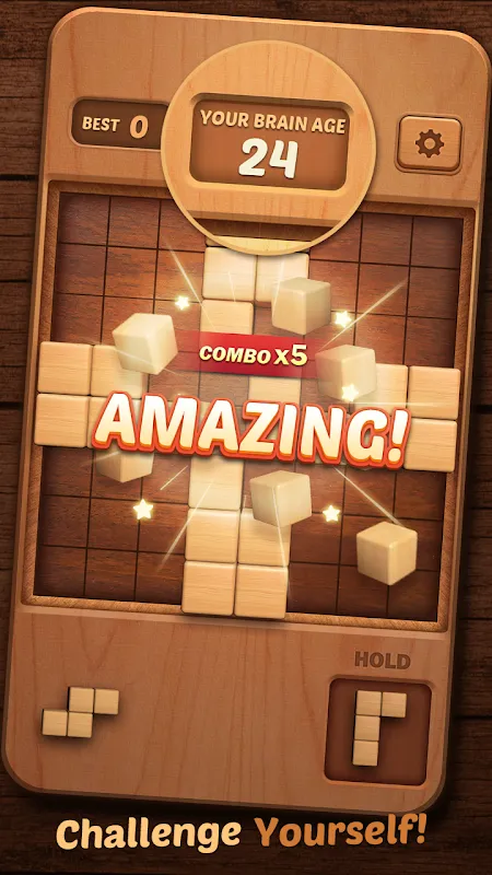 Wood Block Puzzle 3D Wood Block Puzzle 3D