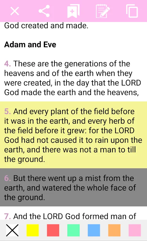 Bible for Women Bible for Women