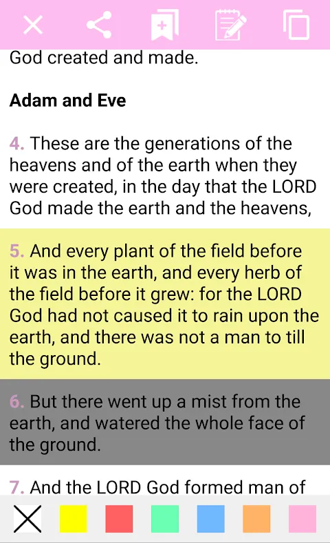 Holy Bible for Woman Holy Bible for Woman