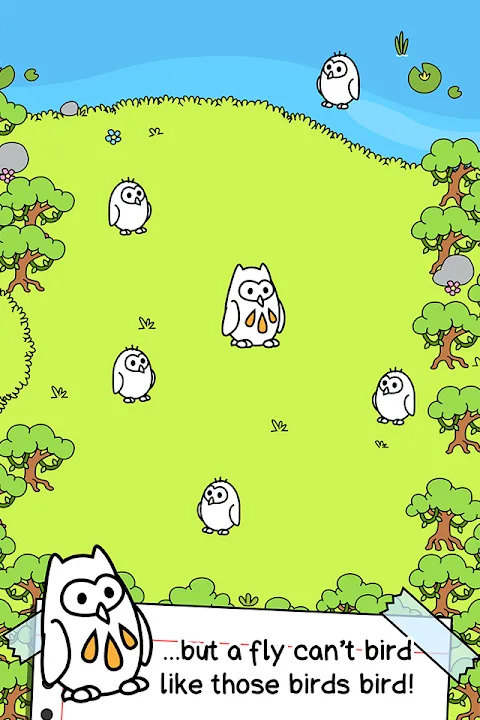 Birds Evolution Birds Evolution