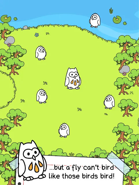 Birds Evolution Birds Evolution