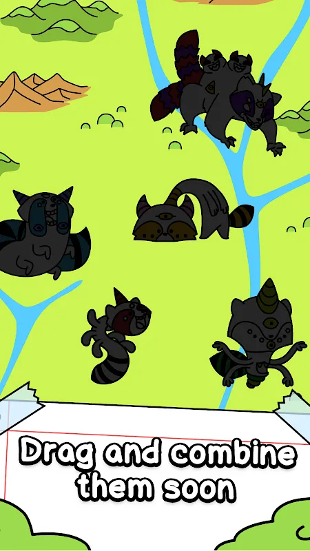 Raccoon Evolution Raccoon Evolution