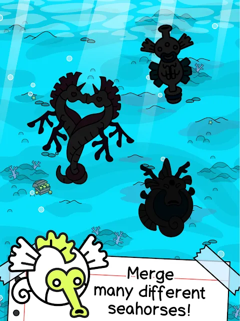 Seahorse Evolution Seahorse Evolution