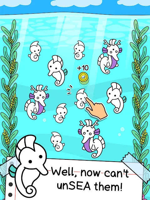 Seahorse Evolution Seahorse Evolution