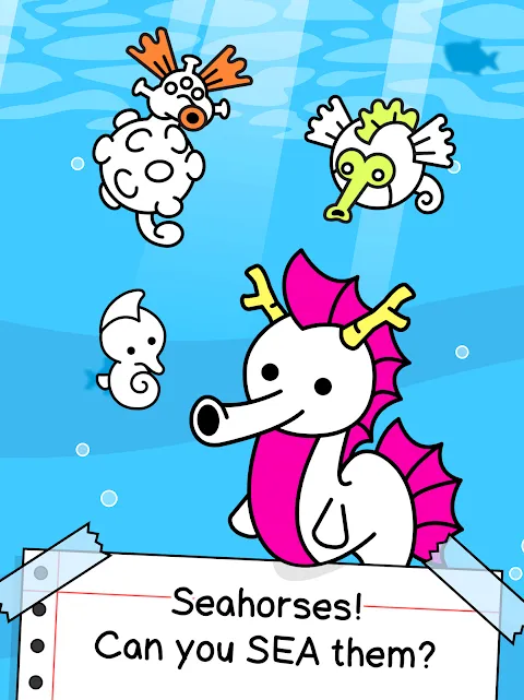 Seahorse Evolution Seahorse Evolution
