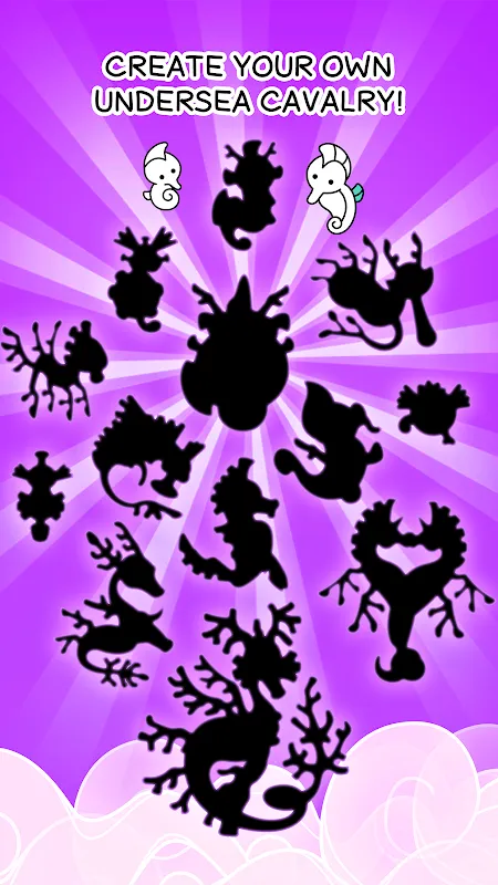 Seahorse Evolution Seahorse Evolution