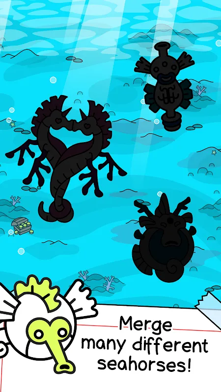 Seahorse Evolution Seahorse Evolution