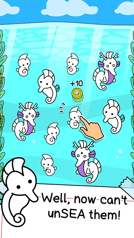 Seahorse Evolution Seahorse Evolution