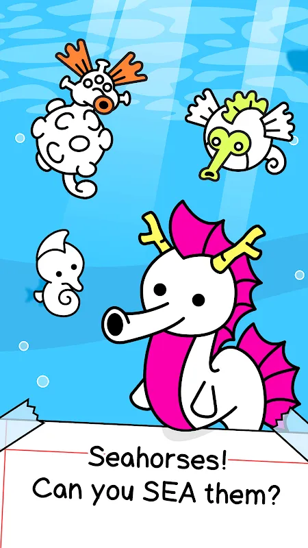 Seahorse Evolution Seahorse Evolution