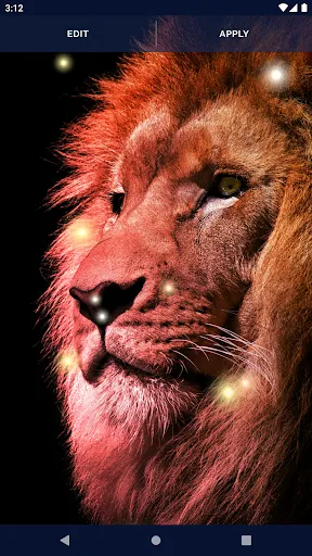 Brave Lion Live Wallpaper Brave Lion Live Wallpaper
