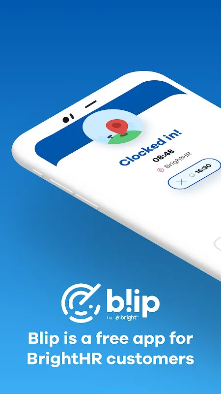 Blip: Ending My Payroll Nightmares