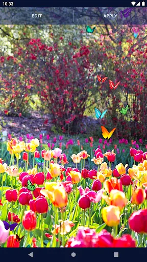 Butterflies Live Wallpaper Butterflies Live Wallpaper