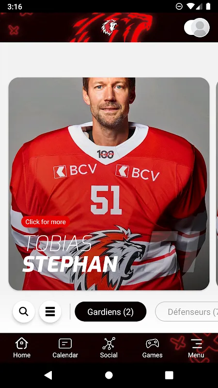 When Hockey Came Home in My Hand