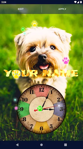 Cute Puppy Live Wallpaper Cute Puppy Live Wallpaper