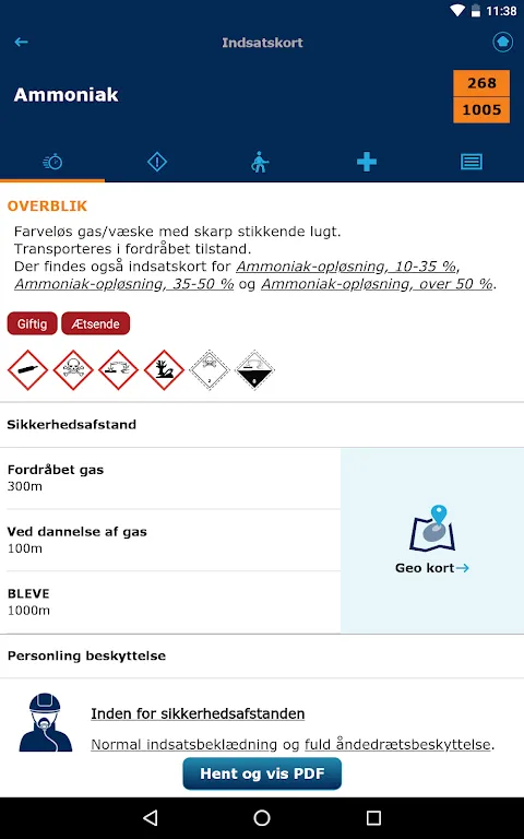 Danish ERG Danish ERG