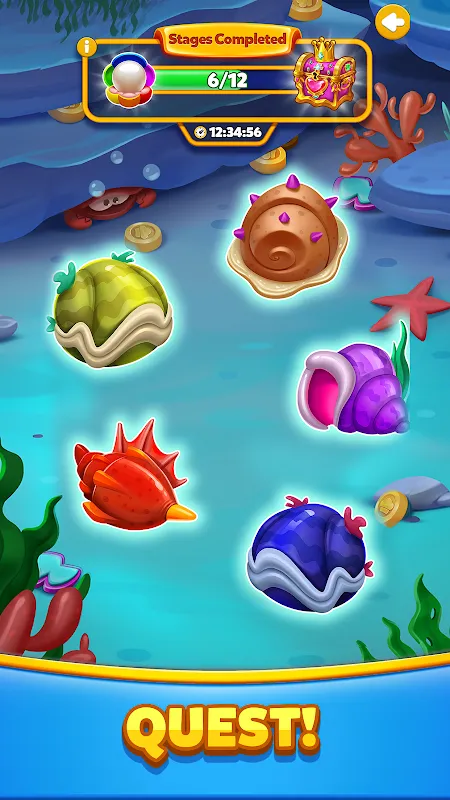 Coin Chef Coin Chef