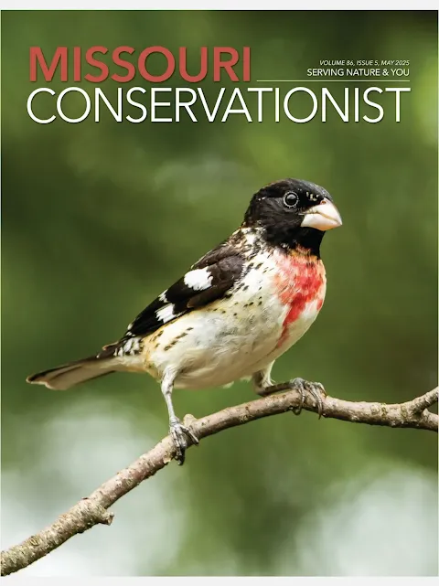 MO Conservationist Magazine MO Conservationist Magazine