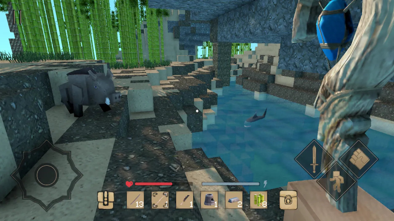 Building Dreams on Digital Shores