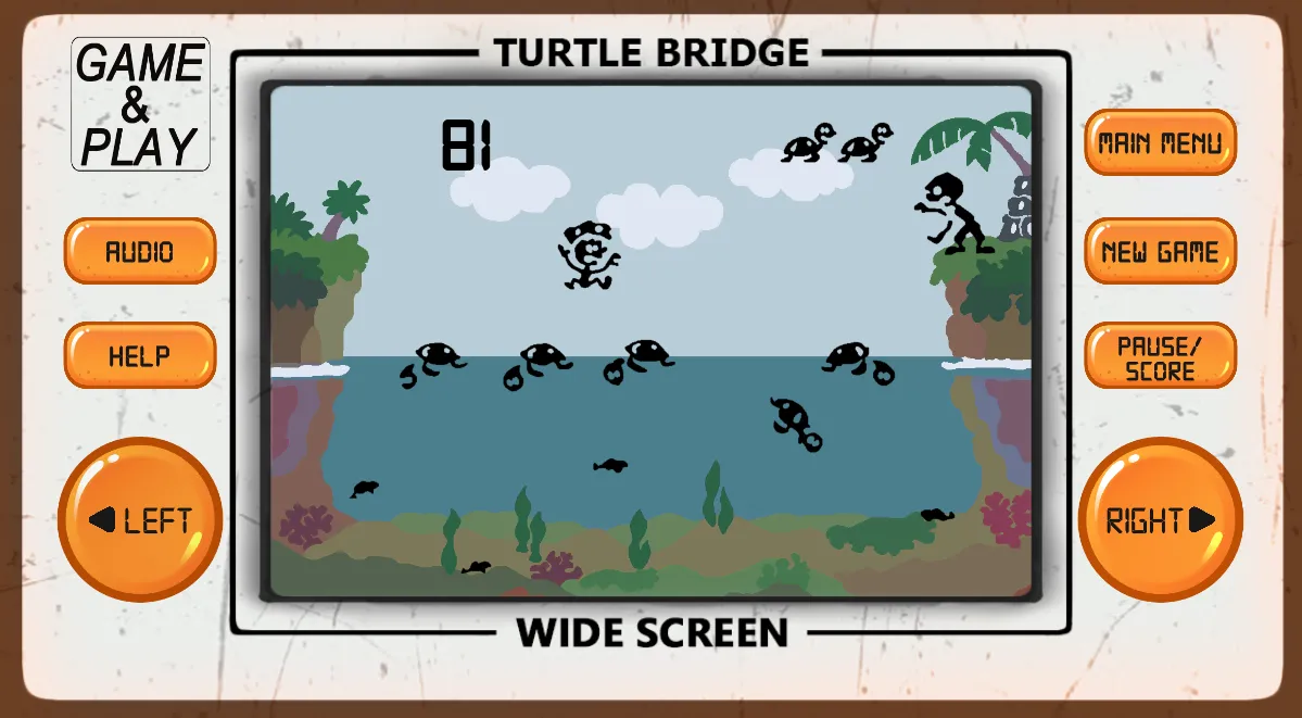 Turtle Turtle