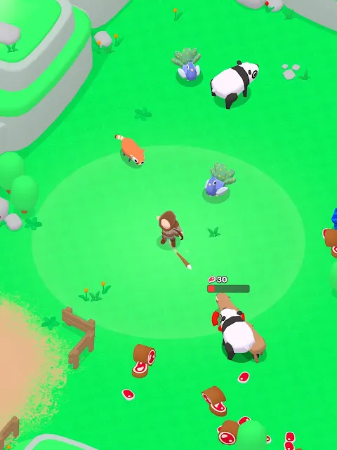 My Little Forest My Little Forest