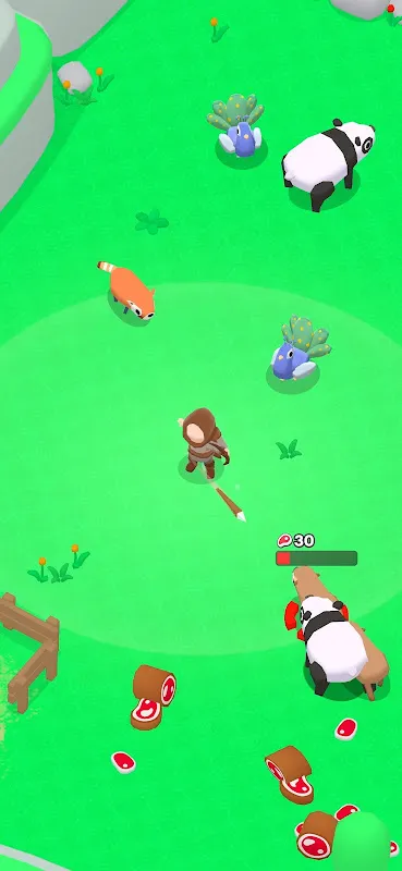 My Little Forest My Little Forest