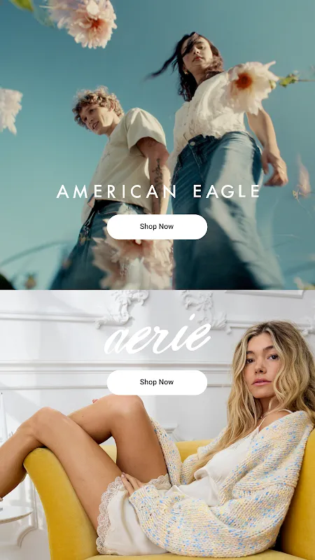 AE + Aerie AE + Aerie