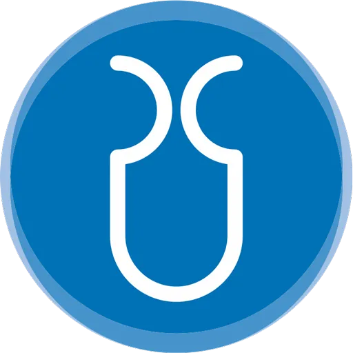 UDA