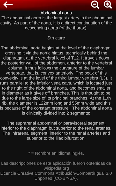 Circulatory System 3D Anatomy Circulatory System 3D Anatomy
