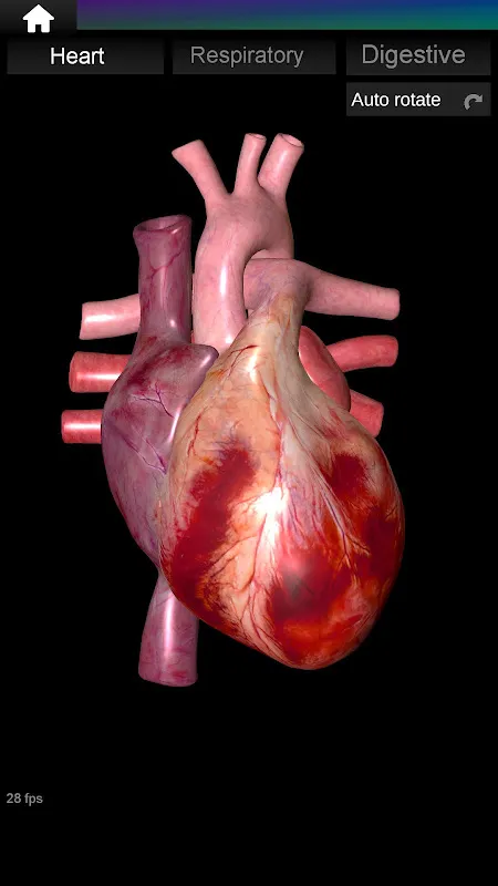 Rotating Kidneys Saved My Exam