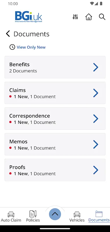 BGi.uk Insurance BGi.uk Insurance