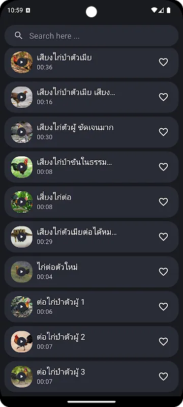 Red junglefowl sounds Red junglefowl sounds