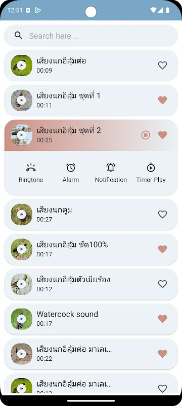 Watercock Bird Sound Watercock Bird Sound