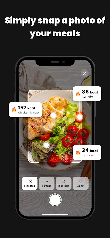 My Lunchtime Revolution with CalDiet-AI