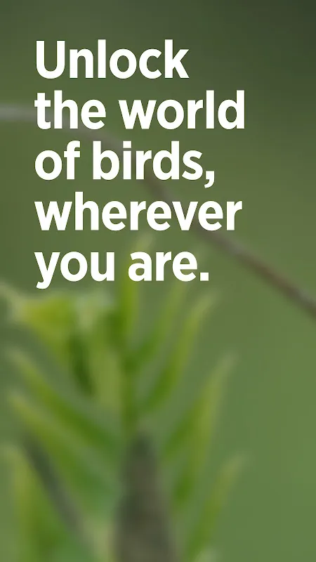 Audubon Bird Guide Audubon Bird Guide