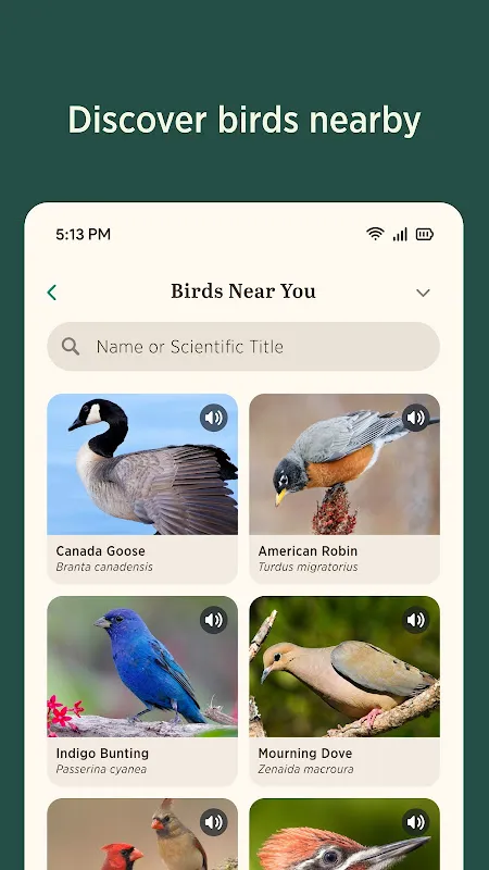 Audubon Bird Guide Audubon Bird Guide