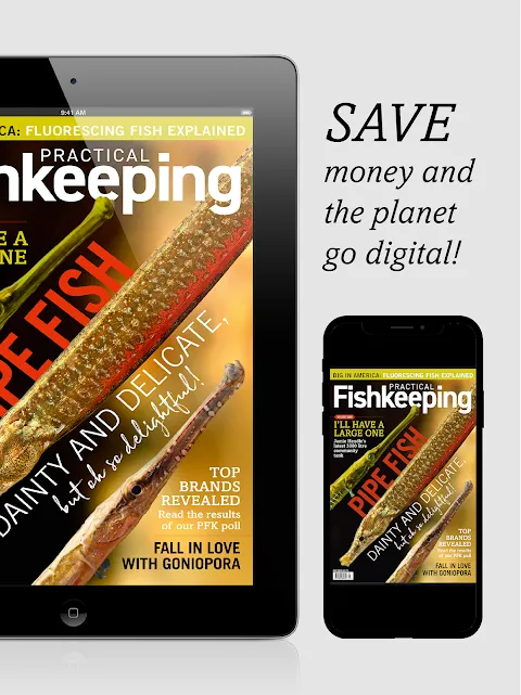 My Digital Lifeline for Fins in Peril
