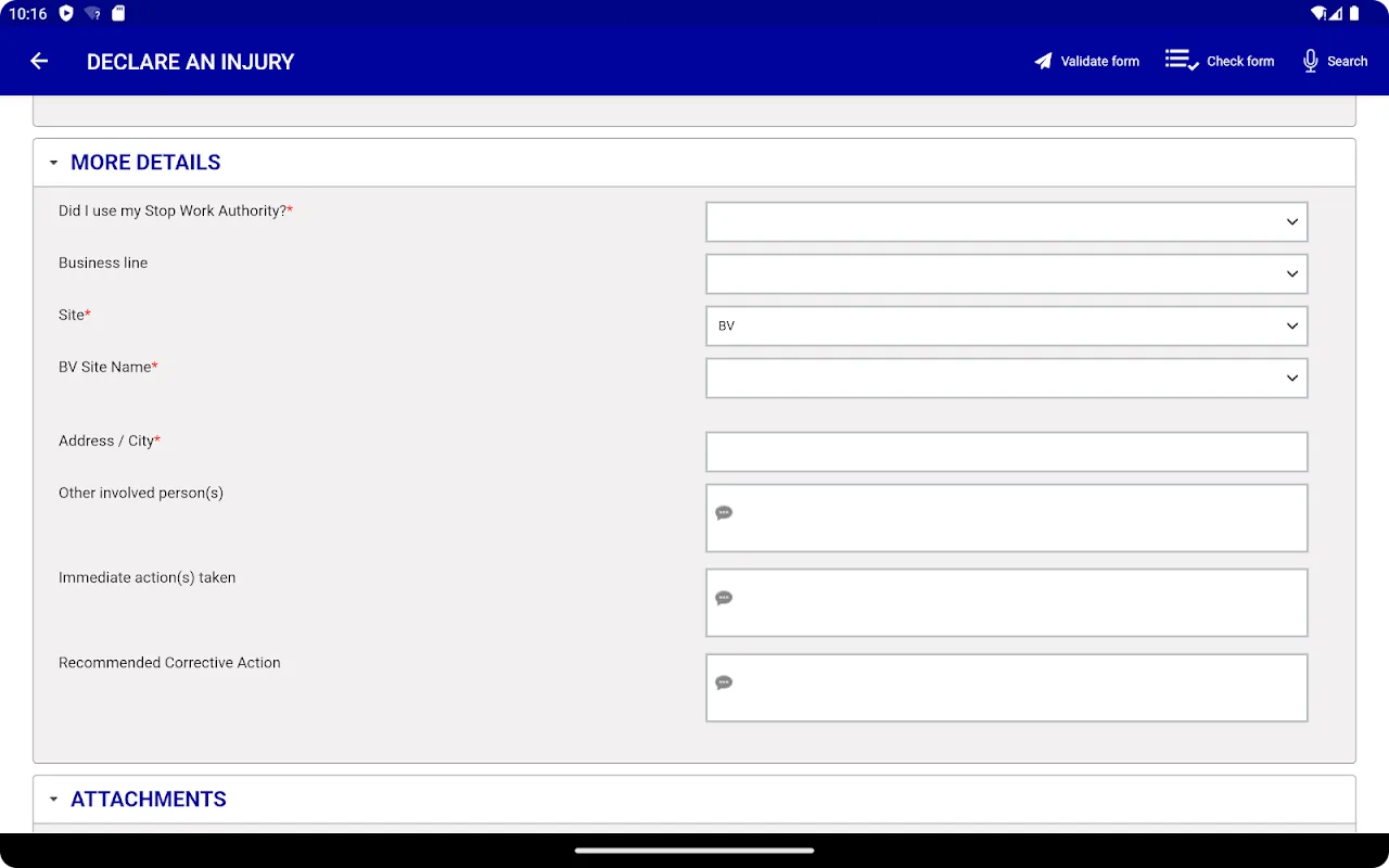 Audit Chaos to Calm: My Digital Savior