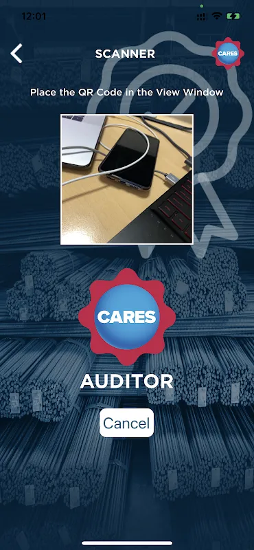 CARES Auditor CARES Auditor