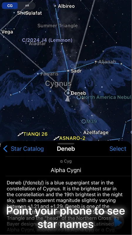 Midnight Solace Under Digital Stars