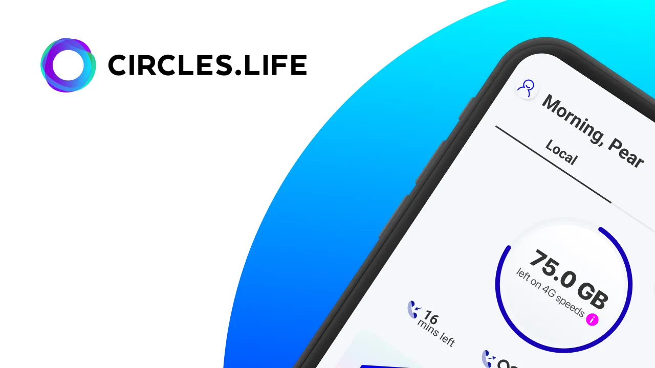 Data Panic to Digital Zen with Circles