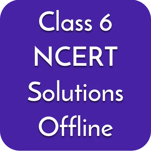 Class 6 Solutions