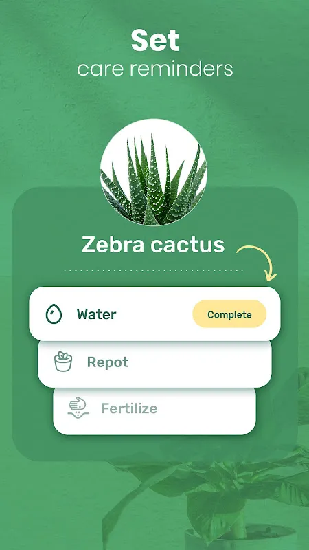 Blossom - Plant Identifier Blossom - Plant Identifier
