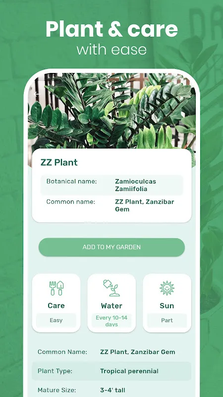 Blossom - Plant Identifier Blossom - Plant Identifier