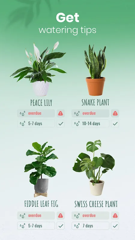 Blossom - Plant Identifier Blossom - Plant Identifier