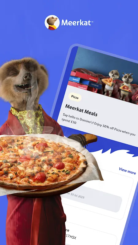My Meerkat Meltdown Moment